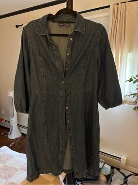 GAP Indigo Denim Button-Down Shirt Dress